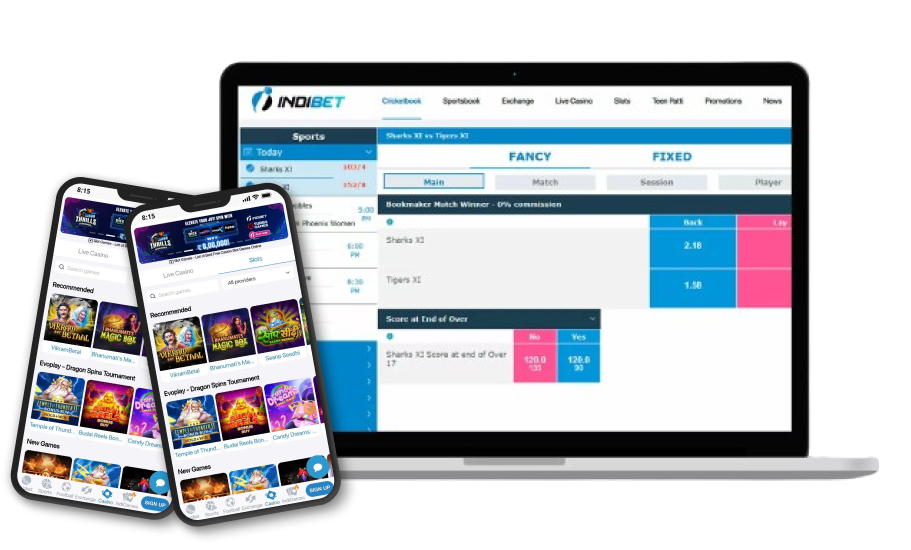 indibet dashboard image
